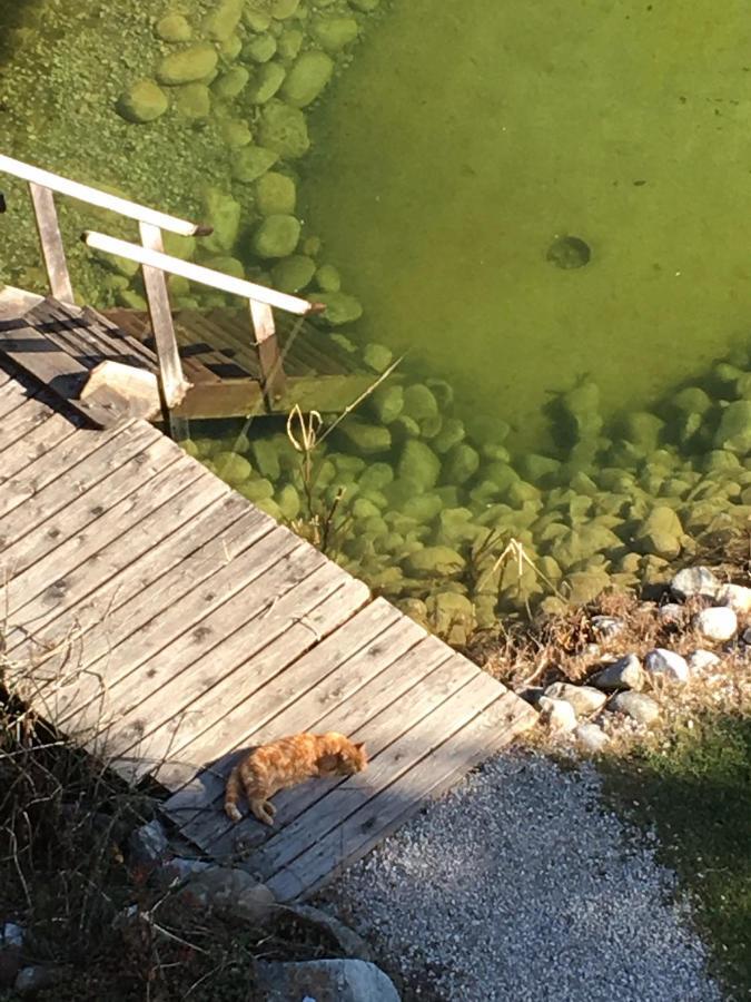 Apart-Haselwanter Mieming Exteriör bild